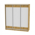 Шкаф-купе Аларти B-230х200х60-1ДВ-D8D8D8