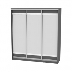 Шкаф-купе Аларти B-220х200х60-1Графит-D10D10D10