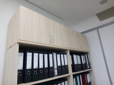 Антресоль Персона Грата Twin 16.13.131 Туя