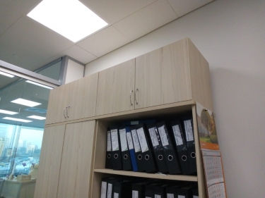 Антресоль Персона Грата Twin 16.13.131 Туя