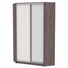 Шкаф-купе Аларти YA-230х1250-1ЯАТ-ЯАС-D6D5