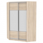 Шкаф-купе Аларти YA-230х1400-718-2ДСС-D3D3