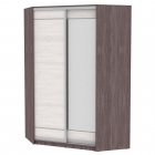 Шкаф-купе Аларти YA-230х1400-718-2ЯАТ-ЯАС-D1D2